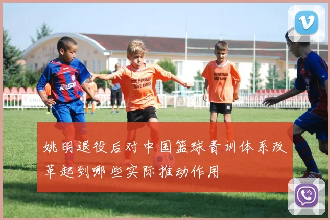 姚明退役后对中国篮球青训体系改革起到哪些实际推动作用