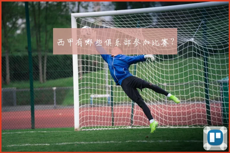 西甲有哪些俱乐部参加比赛？