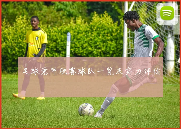 足球意甲联赛球队一览及实力评估
