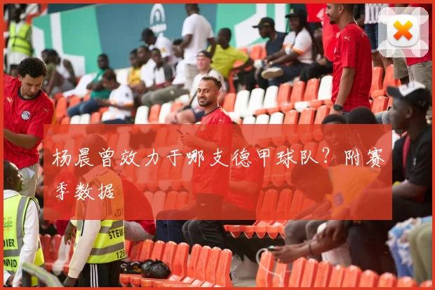 杨晨曾效力于哪支德甲球队？附赛季数据