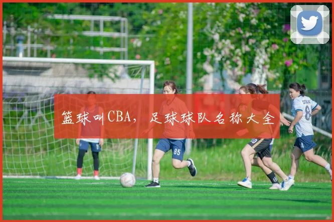 篮球叫CBA，足球球队名称大全