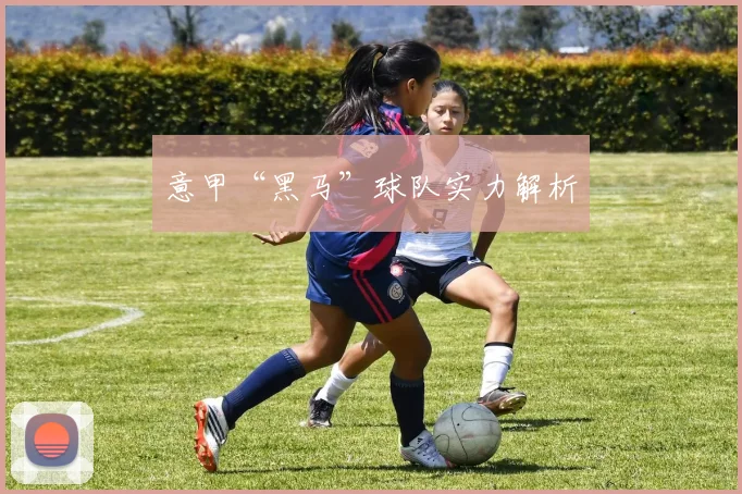 意甲“黑马”球队实力解析