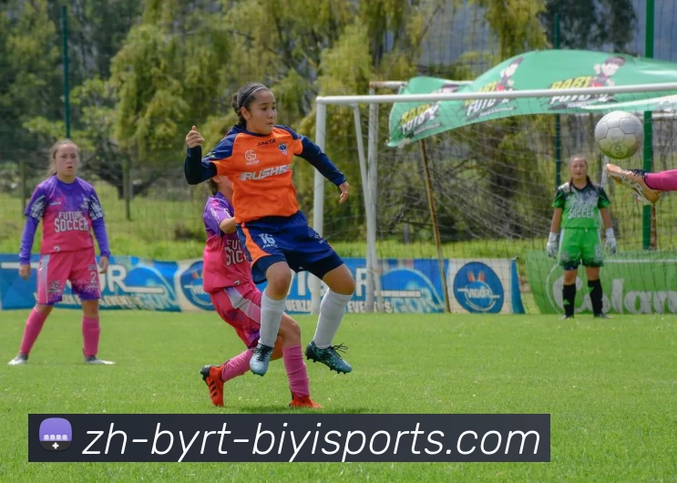 必一体育官方网站发展历程